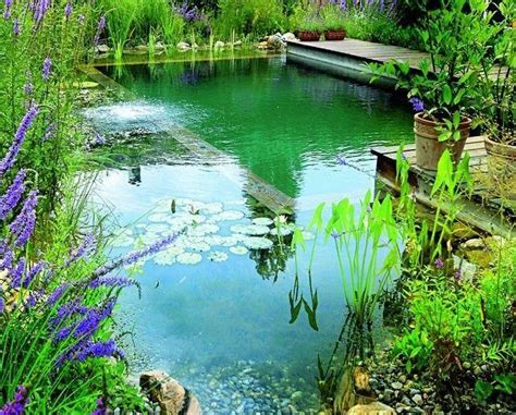 Natural swimming pools a guide to building. - Volvo penta tamd 162 c manual.