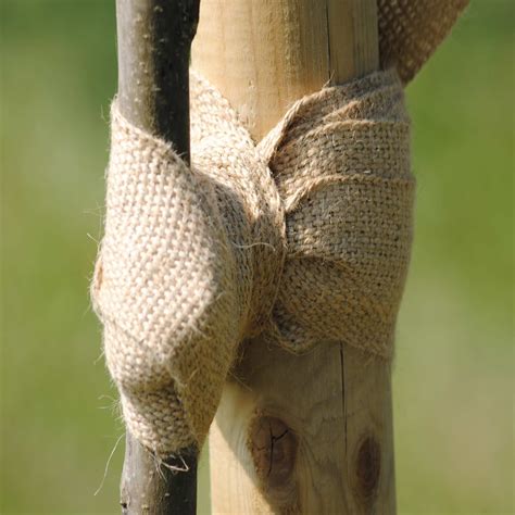 Simple low cost and effective tree tie. Made entirely of natural fibres and fully biodegradable. Usually lasts two winter seasons unless very exposed to the .... 