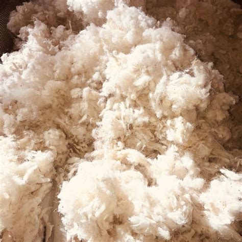 Natural wool Insulation NZ