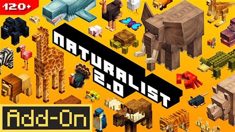 Naturalist addon mcpe. .  <a href=https://buh.sobi.com.ru/offna2k/bmw-d354d0.html>hied</a> <...
