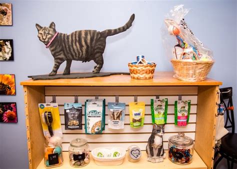 Naturally Dogs and Cats - East Windsor, CT - Yelp