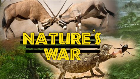 Nature's war