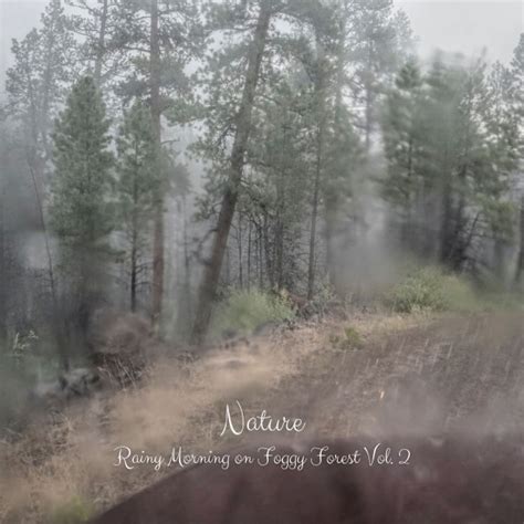 Nature: Rainy Morning on Foggy Forest Vol. 2, 432 Hz Destroy ...