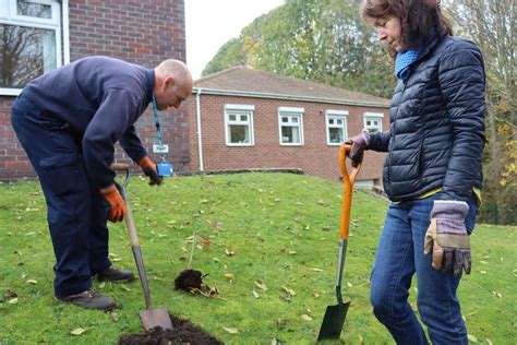 Nature: Sheffield NHS team boost biodiversity and mental …