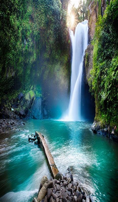 Nature APK Download for Android 