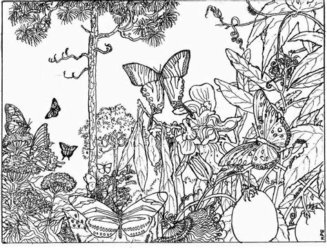 Nature Alive Forest HD Coloring Pages for Adult