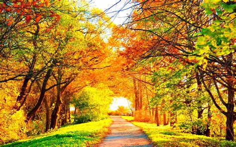 Nature Autumn Seasons Picture