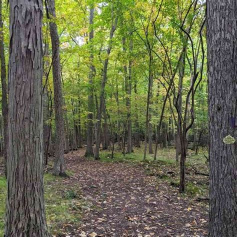 Nature Center – Genesee Country Village & Museum