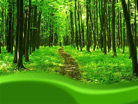 Nature Templates for PowerPoint
