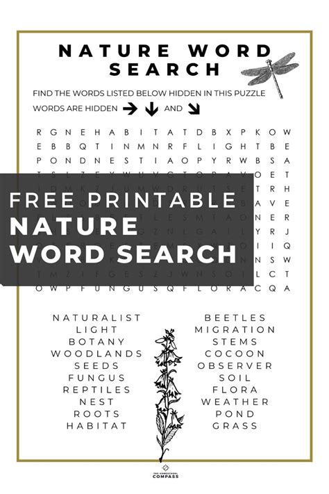 Nature Word Search Spring Study Download Nature study, Nature words