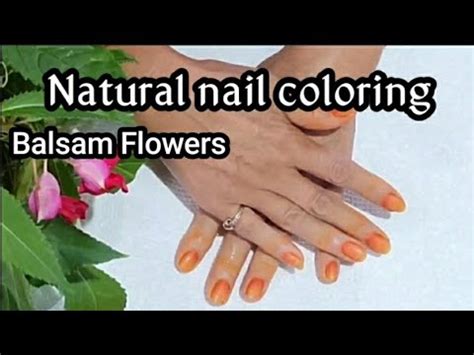 Nature balsam nail & spa photos. Things To Know About Nature balsam nail & spa photos. 