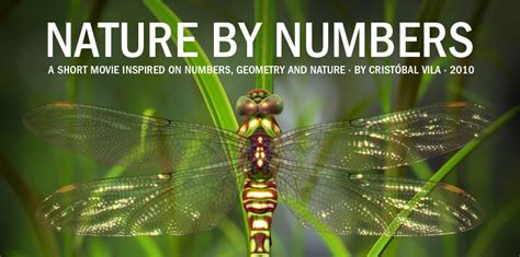 Nature by the numbers. Things To Know About Nature by the numbers. 