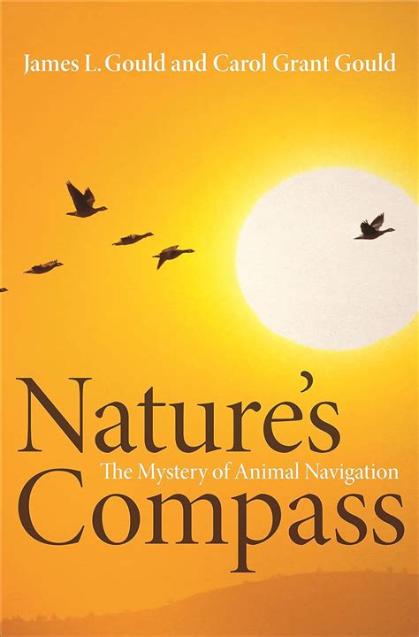 Nature compass the mystery of animal navigation. - Free 1996 cheverlotet caprice repair manual.