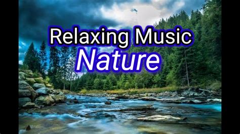 Nature relaxing music. Things To Know About Nature relaxing music. 