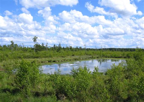 Nature reserves in Poland - Wikipedia