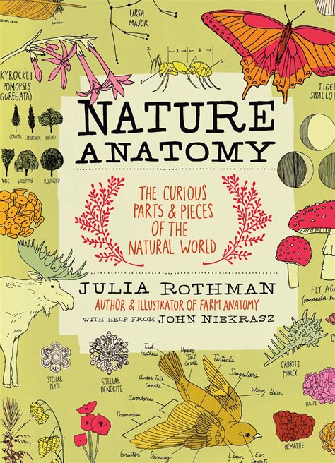 Download Nature Anatomy By Julia Rothman
