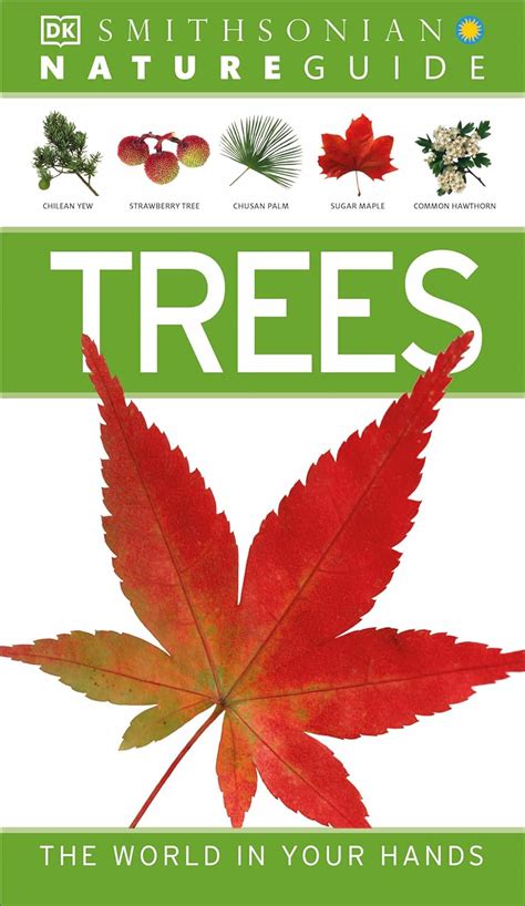 Read Online Nature Guide Trees By Tony Russell