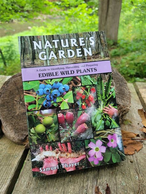 Natures garden a guide to identifying harvesting and preparing edible wild plants samuel thayer. - Evinrude outboard motor repair and tune up guide fully illustrated glenns marine series.