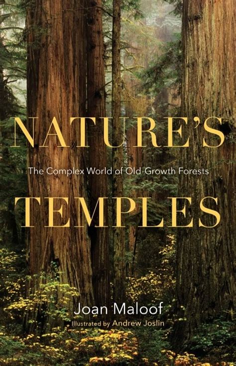 Download Natures Temples The Complex World Of Oldgrowth Forests By Joan Maloof