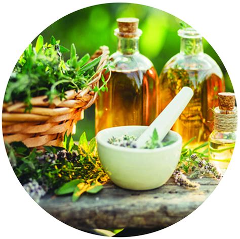 Naturopathic Services