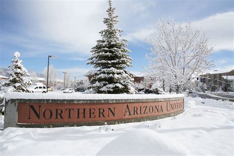 601 S. Knoles Drive; PO Box 4096. Flagstaff, AZ 86011. Contact Form. Email. SDAS@nau.edu. 928-523-3122. 928-523-1126. See a breakdown of all tuition costs and fees for each semester below for each university campus. In accordance with Arizona law, any person who is a citizen or….. 