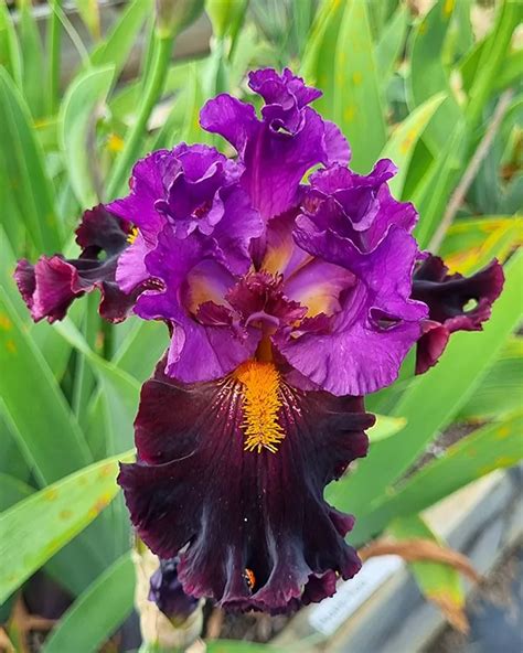 🍆 Naughty Nights Leaked PORN