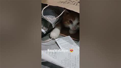 Naughtyginger Leaks [CLIP] 💋 34 Pics
