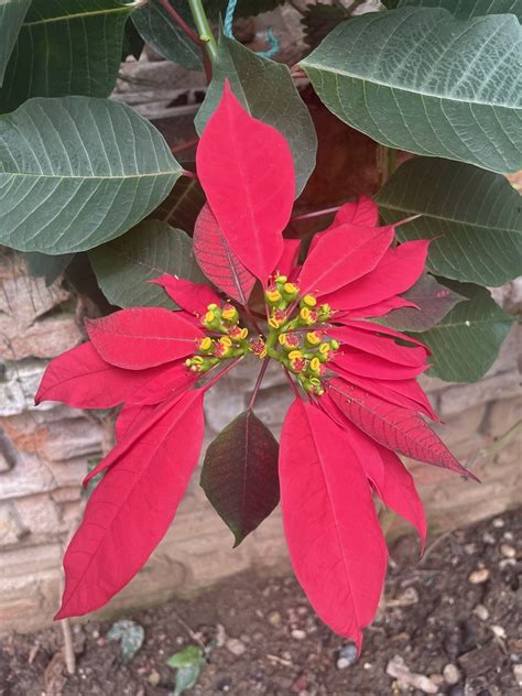 Navalioglu Halı ve Koltuk Yıkama