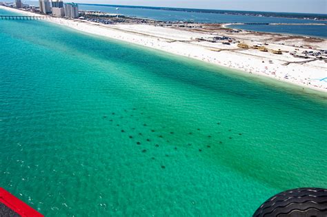 Navarre Beach & Historic Milton - Navarre Beach Florida