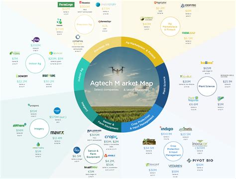 Navigating the AgTech Investment Landscape