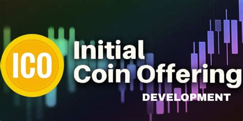 example for investors