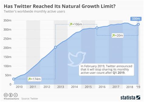 Navigating the Potential Changes on Twitter: A User's Guide