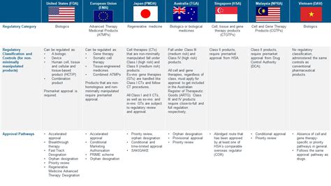 Navigating the Regulatory Landscape in Japan