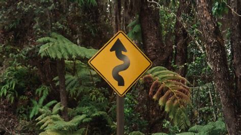 Navigating the Shift: Challenges and Opportunities