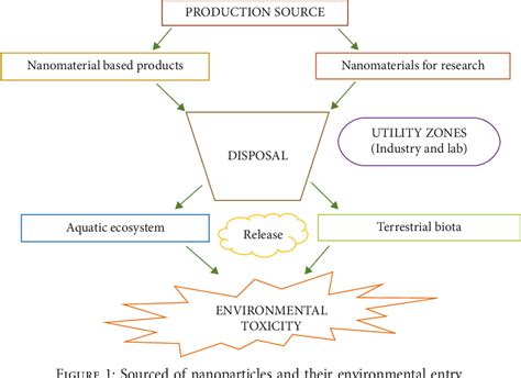 Navigating the environmental dynamics, toxicity
