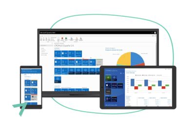 Navision User Erp Manual