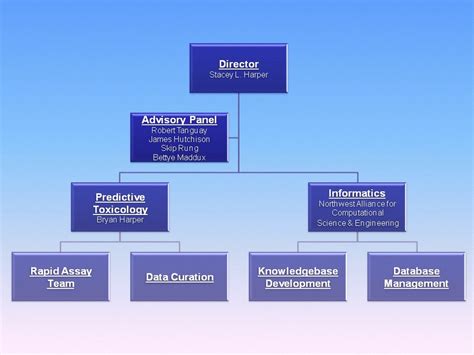 Nbi organizational structure
