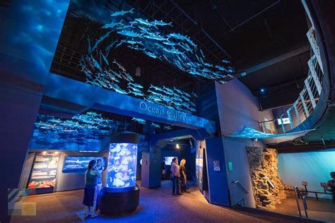 Nc aquarium at fort fisher. The aquarium is open daily, year round, from 9:00 a.m. until 5:00 p.m., except for Thanksgiving and Christmas. The cost to tour the aquarium runs around $8.00 for adults, $7.00 for seniors over the age of 62, and $6.00 for children ages 3-12. Visitors should expect to spend about 2 hours to tour the facilities, and are invited to spend extra ... 