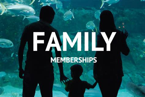 Nc aquarium membership. Did you know that our members enjoy free or discounted admission to more than 230 zoos and aquariums around the world? Apply to join the Association of Zoos & Aquariums today or renew your membership as an individual, organization, or commercial partner to continue enjoying the many perks of partnering with AZA. 