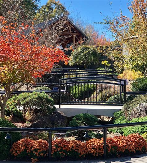 Nc arboretum asheville. Nestled in the Southern Appalachian Mountains just south of Asheville, The North Carolina Arboretum offers acres of cultivated gardens and groomed trails featuring some of the … 