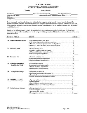 Nc dss strengths and needs assessment instructions.  See appendix of social worker's...
