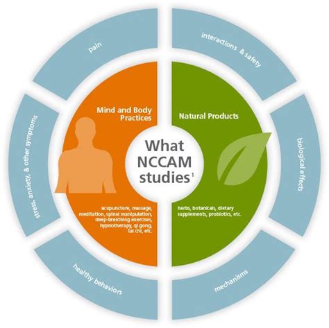 Nccam rankings. Things To Know About Nccam rankings. 