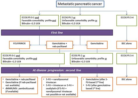 Nccn guidelines for patients pancreatic cancer. - Iec 60344 ed 2 0 b 1980 guida alla.