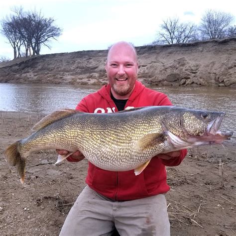 ND Game & Fish Department Fish Stocking Report Sweet Briar Lake -- Morton County: May 2024 : 2023: Channel Catfish: 4,180 : Adult : 2023: Walleye: 19,800 : Fingerling ….