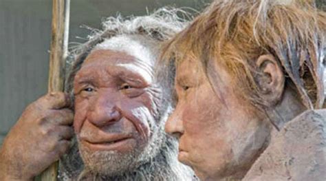 Neanderthal Genes Hint at Much Earlier Human …