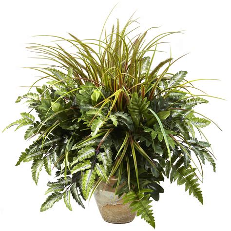 Place our plants on tables or windowsills to easily add a touch of living beauty to your home. . Nearlynatural