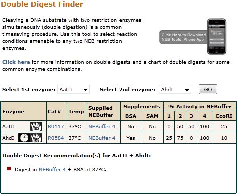 Neb digest calculator. Traditional Cloning Workflows. Select a workflow step below to determine recommended products and protocols. Use NEBcloner to find the right products and protocols for each in your traditional cloning workflow, including double digestion buffers. 