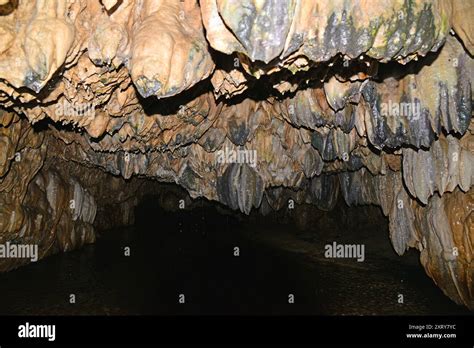 Nebiler Halı ve Koltuk Yıkama