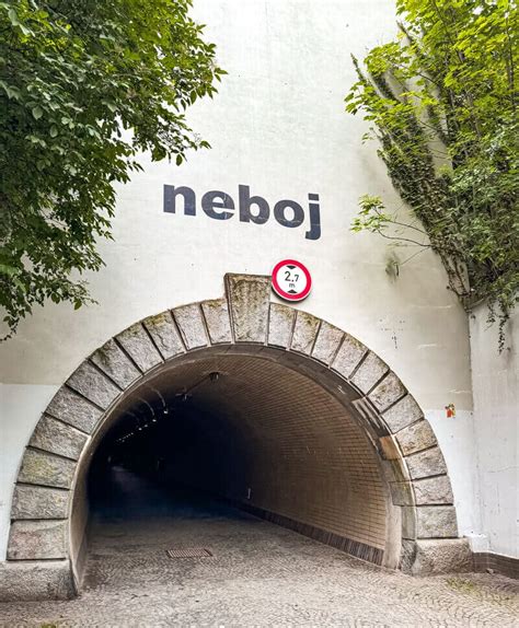 Neboj&scaron;a Malić &mdash; Википедија