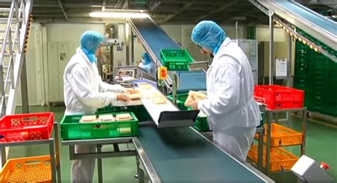 Necesidades de información de la pequeña y mediana empresa manufacturera en el valle de aburrá. - Frigidaire fclbm5 bread machine maker instruction manual recipes.
